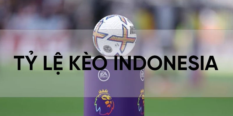 Kèo Indo - một trong các tỷ lệ cược hấp dẫn nhất 2025