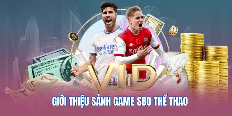 Tổng quan về sân chơi SBO thể thao nổi tiếng