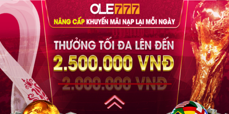 Chính sách hoàn tiền thu hút nhiều người tham gia